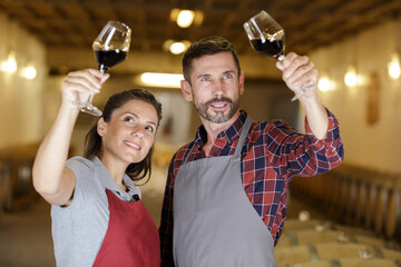 Naklejka premium couple in vineyard cellar inspecting wine in wineglass