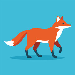 red fox vector illustration