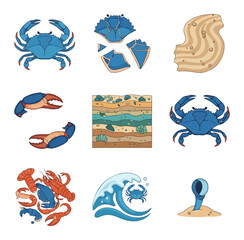 Coastal creatures and elements illustration set for design projects