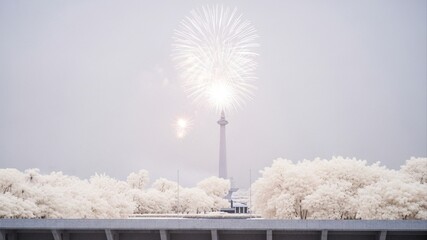 Fireworks explode above a tall monument and a line of trees, all seen through a hazy, muted, almost infrared filter.