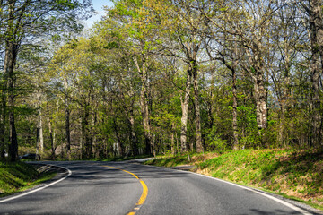 Wintergreen, Virginia summer spring season with green trees forest woods in lush mountains with empty road