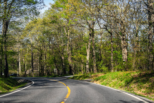 Wintergreen, Virginia summer spring season with green trees forest woods in lush mountains with empty road