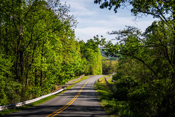 Rural winding Reeds gap road street in Virginia spring countryside season with fence and lush green trees forest woods