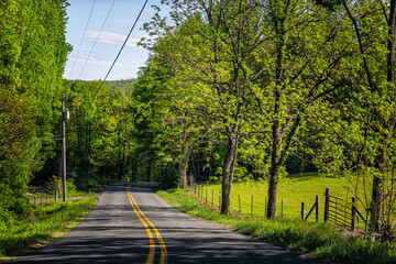 Rural winding Reeds gap road in Virginia spring countryside season with fence and lush green trees forest woods