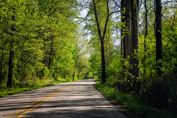 Lyndhurst, Virginia rural street winding road through spring mountains near Sherando Lake in George Washington National Forest with nobody