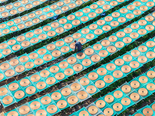 Aerial View of Worker Arranging Traditional Spiral Incense Coils Among Endless Drying Racks at Chinese Factory