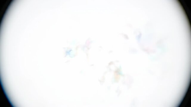 Microscopic particles slowly dissolving and fading into an infinite pristine white blank void creating an ethereal transient effect impermanence, fleeting, dissolution