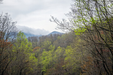 Wintergreen Resort, Virginia ski town in Blue Ridge mountains in spring springtime green foliage on cloudy day with pattern landscape of forest
