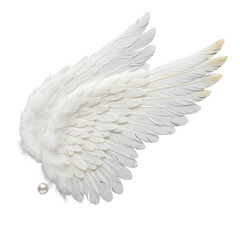 transparent angel wings with soft downy texture and golden tips, an iridescent pearl at base, isolated on transparent, studio lighting, concept of ethereal purity and elegance