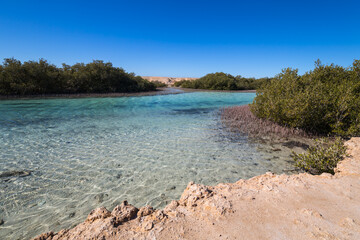 Ras Muhammad National Park in Egypt