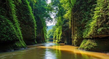 Obraz premium Deep tropical gorge with a serene river flowing through, lush green vegetation on the towering cliffs reflecting in the calm, sunlit water