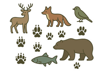 Wildlife illustrations featuring deer, fox, bear, bird, and animal tracks in a natural setting