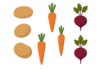 Fresh vegetables including potatoes, carrots, and beets arranged in a colorful pattern on a white background