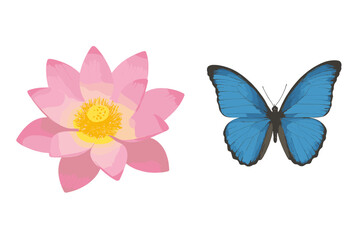 Bright pink lotus flower beside vibrant blue butterfly displaying nature's beauty in harmony