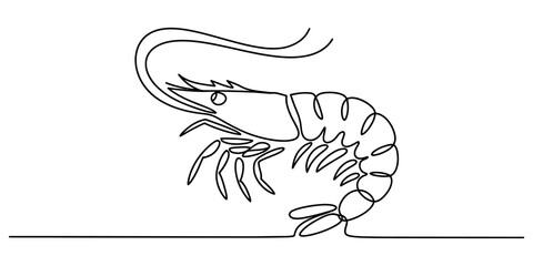 Single continuous line drawing of a shrimp or prawn, marine life illustration, minimalist ocean creature art, seafood icon vector graphic. Vector, illustration