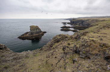 dramatic coastline with towering basalt cliffs, shaped by volcanic activity and relentless ocean waves, Arnarstapi, Snaefellsnes Peninsula, West Iceland