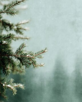 Minimal Forest Green Scandinavian Christmas Background