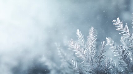 Minimal Silver Frosted Christmas Background