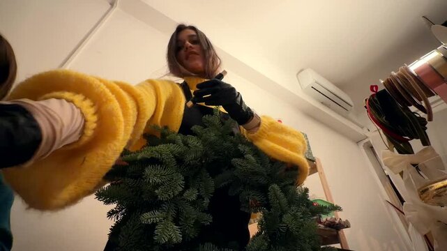 Person methodically prunes and decorates holiday evergreen setup