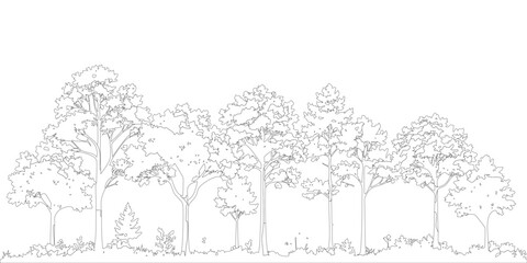 Vector outline drawing of forest trees and undergrowth border.