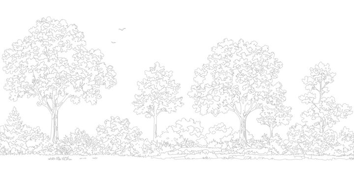 Minimal style cad tree Monochrome forest landscape outline drawing on white background