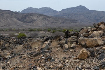 Landscape on the way to salt lake Afdera in Ethiopia