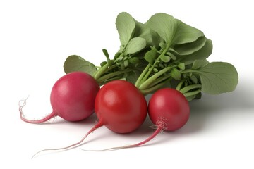 Three fresh radishes with green leaves isolated on white background