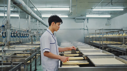 In a sterile dairy facility, a young Asian male cheesemaker skillfully uses a wire curd cutter to slice thickened cheese into uniform cubes. Bright LED lights illuminate the work area