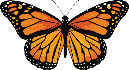 Monarch butterfly wings spread front view, orange and black pattern, entomology sketch, vector insect illustration, detailed design