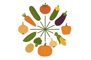 Colorful arrangement of fresh vegetables in a circular pattern on a white background showcasing a variety of shapes and colors