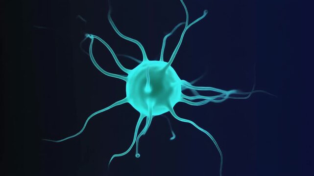 Glowing cyan neuron with radiating dendrites on dark blue background, symbolizing connectivity, intelligence, and biological complexity in a microscopic or digital visualization.