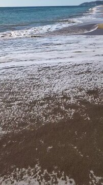 Orilla de la playa con las olas batiendo