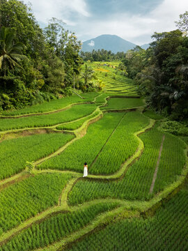 Woman In White Dress In Scenic Subak Rice Terraces With Mountain View