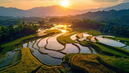 Aerial view of rice terraces at sunset. The image captures the golden hour light reflecting on the water and fields, with mountains in the background.