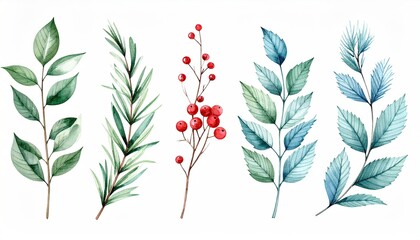 Watercolor botanical elements featuring leaves and berries for decorative design.