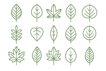 Fototapeta premium Various leaf designs showcasing different shapes and types in a simple line art style