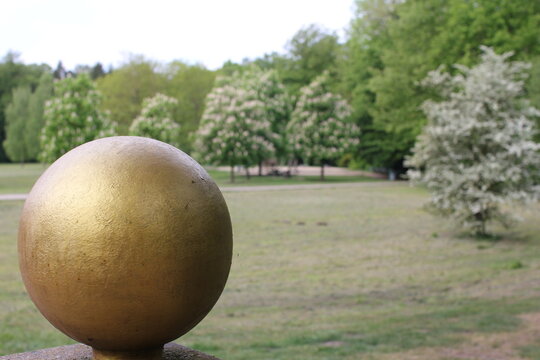 Gold Shere in Park