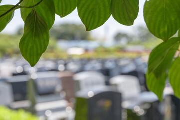 樹木の葉っぱごしに眺めるたくさんのボケた墓石のイメージ