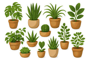 Variety of indoor plants displayed in terracotta pots with vibrant green leaves in a simple arrangement