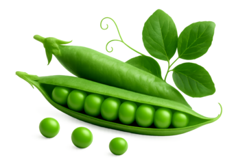 uicy green peas scattered from an open pod, accompanied by a closed pod and leafy greens, isolated on transparent backdrop.