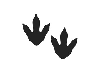 Tracks of a bird on a sandy surface revealing the natural environment and wildlife activity during daylight