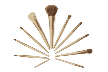 Collection of makeup brushes arranged in a fan shape on a plain background showcasing their variety and design features