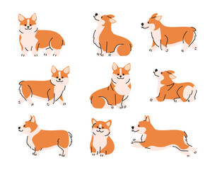 Fototapeta premium A collection of Welsh Corgi in different poses. Vector illustration in hand drawn style