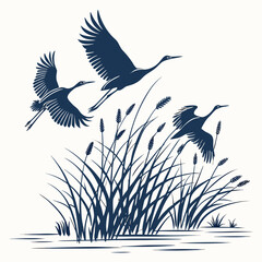 Three elegant dark blue cranes flying gracefully over a marsh with tall reeds and water