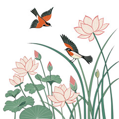 Obraz premium Two charming birds perched and flying amidst delicate pink lotus flowers and green lily pads