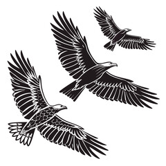 Three majestic eagles soaring through the sky with wings spread wide in flight