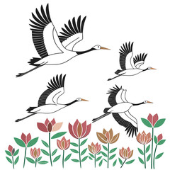 Obraz premium Four stylized cranes in flight above a row of colorful flowers on a white background