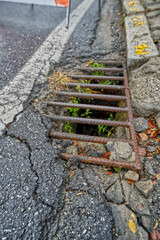 Public drain on a road in the city center