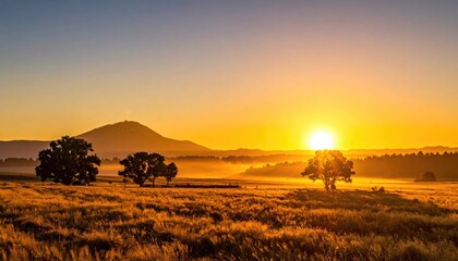 Golden Sunrise Over A Vast Field Of Wheat With Silhouetted Trees And Rolling Hills In The Distance Creating A Peaceful Rural Landscape