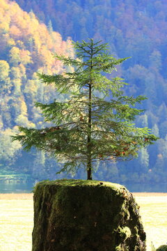 Eindr&uuml;cke am K&ouml;nigssee